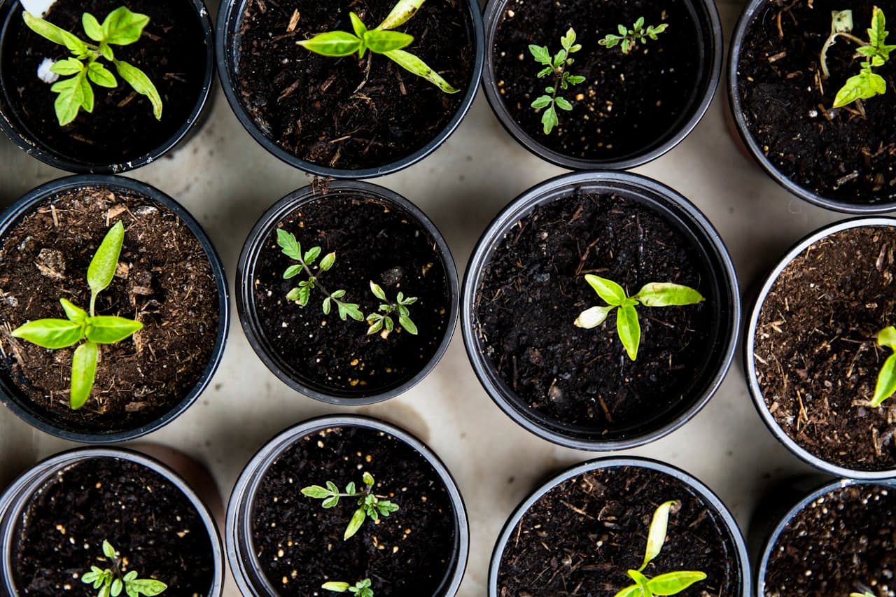 Circular agriculture: turning by-products into value