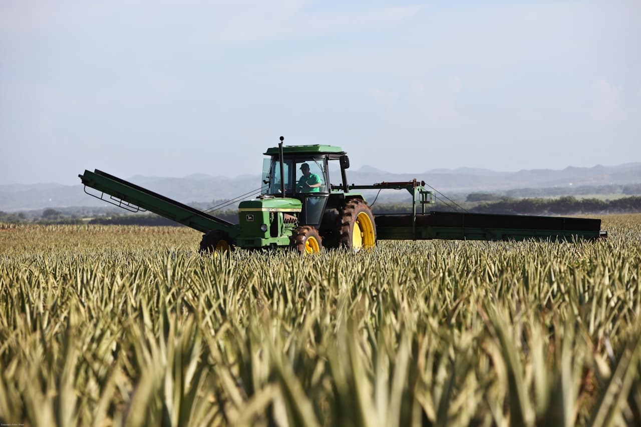 Agrovia story