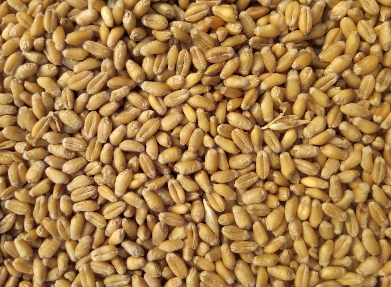 Extruded Pellets