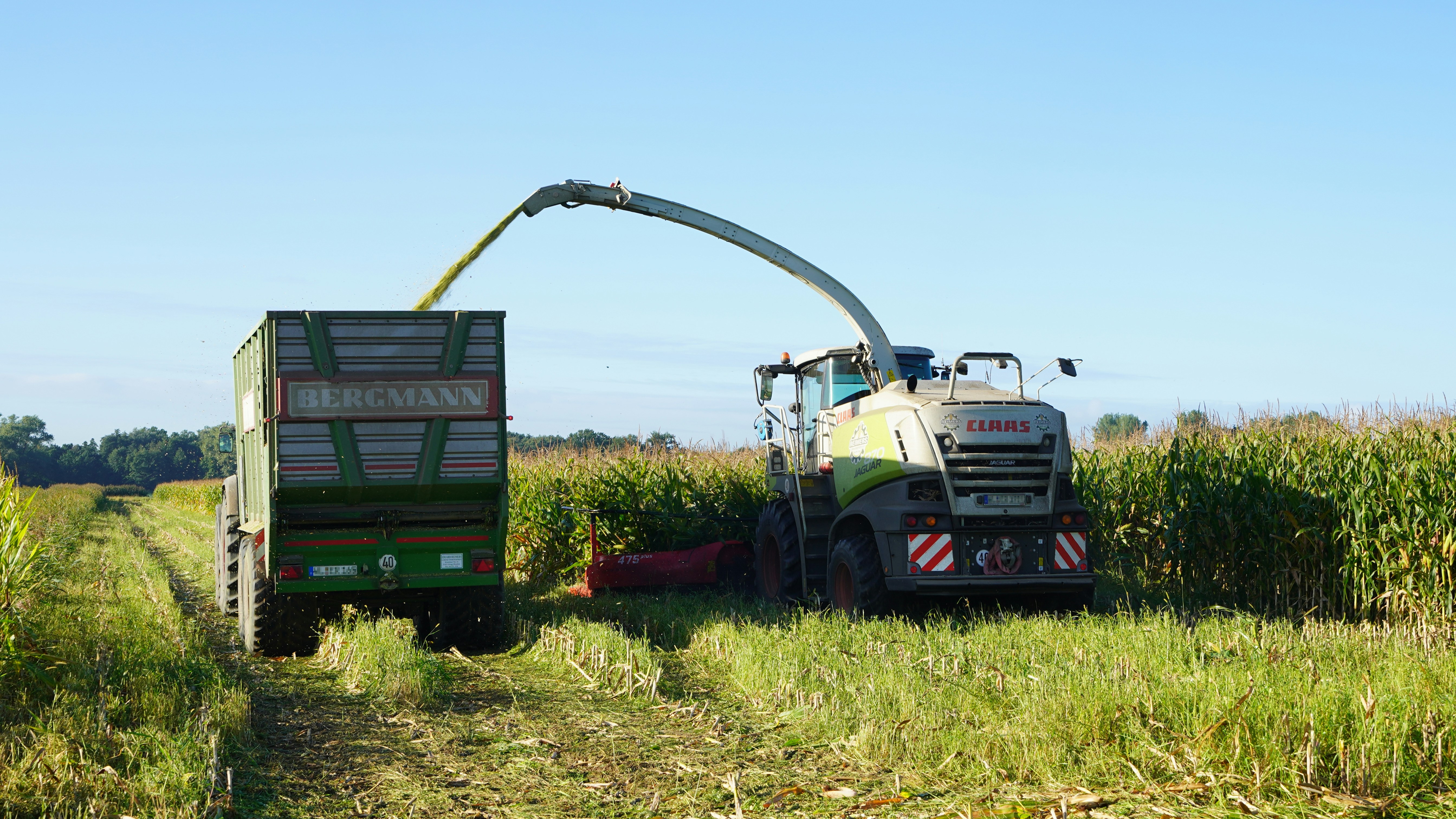 Building Resilient Agricultural Ecosystems